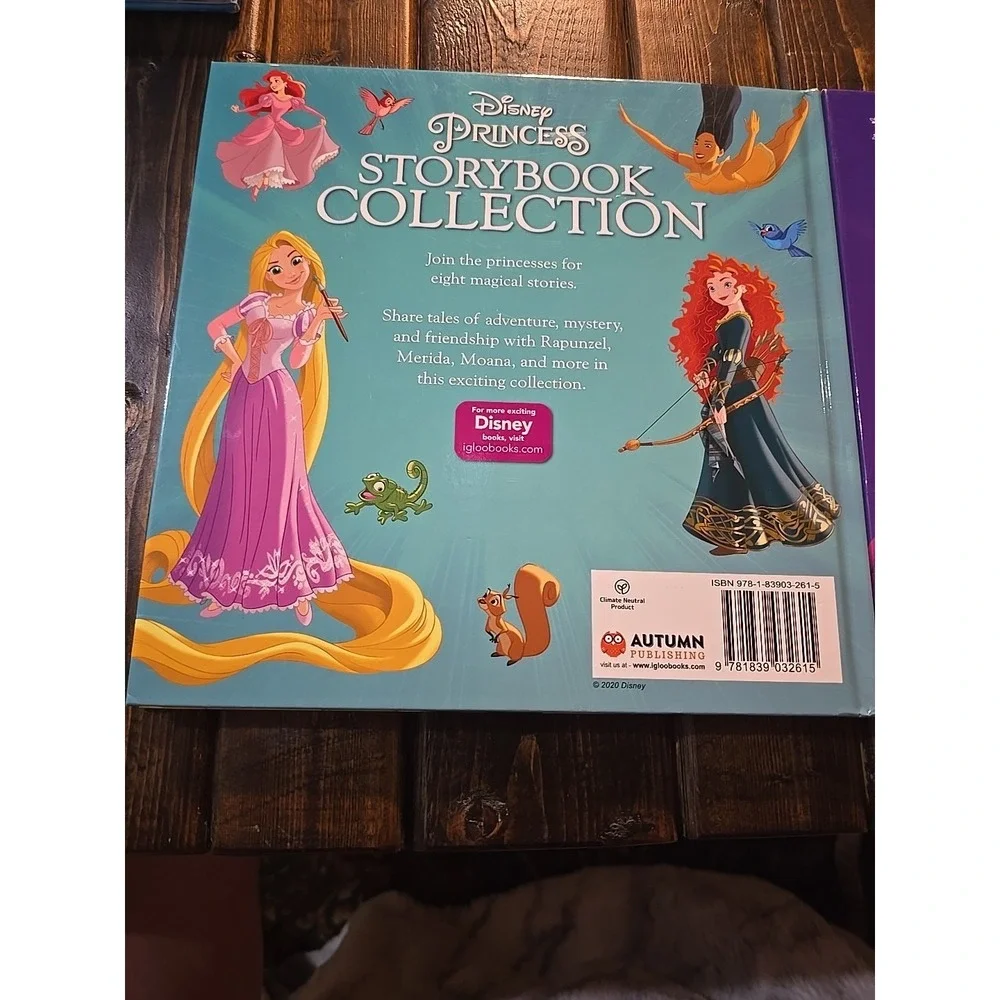 Disney Frozen & Princess Storybook‎ Collection Storybook Collection Disney Lot 2